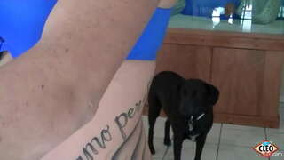 Татуированная красотка Итс Клео ярата протягивать ярдәм кулы кайчан зур члену төшерергә кирәк стресс, хәтта күбрәк булса, ул акча алырга мөмкин, теплую сперму үз сиськи! Шулай мило! Тулы видео-һәм барысы да аның Клио @ ItsCleoLive.com !