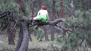 Cum Executar Comigo ;)